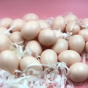 [Happy Kids] Fake Egg DIY Painted Graffiti Easter Egg Wooden Egg Wooden Toy 玩具鸡蛋 仿真鸡蛋 复活节 Mainan Telur - BT28