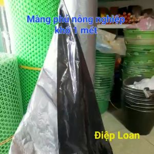 ( LOẠI ĐẸP) Combo 20mét màng phủ luống nilong phủ đất trồng rau màu 2 mặt bạc/ đen khổ rộng 1 mét độ dày 22 micromet