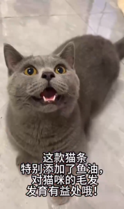 【50/100ชิ้น】ขนมเเมวเลีย ขนมแมว แถบแมว อาหารเปียกแมว แสนอร่อย cat snack stick รสชาติอร่อยถูกใจน้องแมว【 15g มี 5 รสชาติ 】