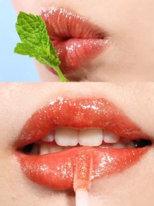 Plumpmax Lip gloss moisture Lip tint
