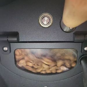 Roasted Arabica Coffee Beans - Brazil Sabia Mogiana Medium Roasted- Wholebeans Espresso and Ground coffee beans - rohecoffeeroasters