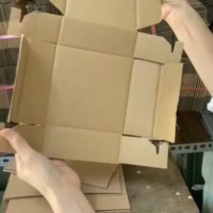 Thùng giấy carton nắp cài đóng gói sản phẩm hộp nắp gài hộp giấy đựng bánh pizza 25x16x5 cm combo 40 hộp giao hàng nhanh hỏa tốc tp. HCM - alobox