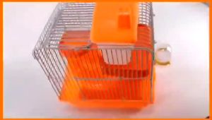 Hamster Cage Double Layer/ FULIKAI CRISPY HAMSTER Food 1kg/Hamster Food Mix Hamster Natural Foodmix Hamster Treats 400g