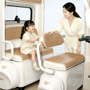 Cool Summer Seat Cover for Tricycles
