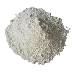 Diatomaceous Earth DE Powder Filter Aid for Swimming Pools 1 kilo