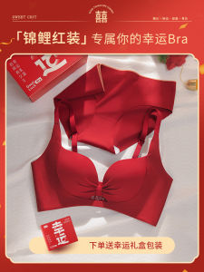 Red Zodiac Snake Year Womens Underwear Set Bra And Panties Gather Small Chest New Bride Gift Box Sweet Style Nylon Fabric