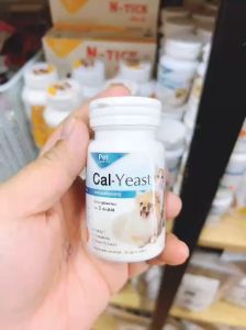 DAISUKI Cal - Yeast viên uống canxi dưỡng lông và da cho chó mèo 🐶 FREE SHIP 🐶 Canxi cho pet trên 3 tháng tuổi