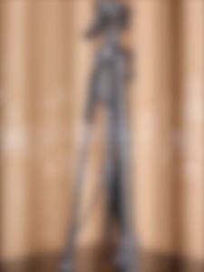 1.7M adjustable camera tripod floor stand retractable travel lightweight bracket wearing Bluetooth remote control mobil