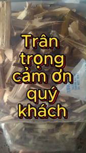 Cây cơm nguội khô 500g