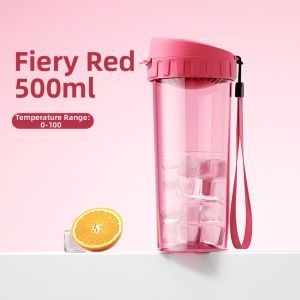 Tupperware | Heat Resistant Tea Essence Water Bottle 500ml