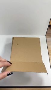 【Zdandan】CODชุดเกมพื้นบ้านเกาหลีเกมปลาหมึกฤดูกาล Stone Catching Game Squid Game 2 | เกมปลาหมึก 2 Gonggi Stones 3D ชุดหิน 5 สี