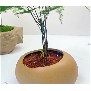 Rêu giả trang trí rêu nhân tạo phủ gốc cây tiểu cảnh sân vườn giống thật dạng sợi nhiều màu -LUMBL