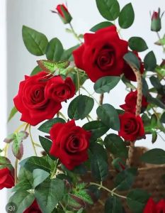 9 พวงกุหลาบประดิษฐ์ ดอกไม้ปลอม เถาวัลย์ดอกไม้ปลอม ยาว 240cm พวงกุหลาบประดิษฐ์ ดอกเล็ก สี 6 ตกแต