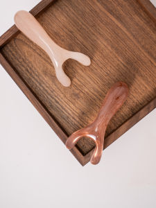 Y-Shaped Resin Nasal Scraper Comb Acupoint Massage Tool Meridian Unblocking Facial Cleaning Personal Care Household Item