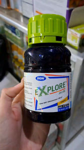 EXPLORE 250 EC FUNGISIDA PENGENDALI PENYAKIT