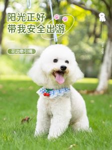 สายรัดด้านหน้าและด้านหลังสำหรับสุนัขขนาดเล็ก สายเดินทาง Adorable Teddy Pomeranian เส้นใยไนลอนไม่ต่อได้สำหรับเลี้ยงสัตว์เลี้ยง