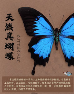 Retro European Style Embossed Notebook Blank Pages Cthulhu Series High Aesthetic Value A5 Size Diary Notebook Journaling