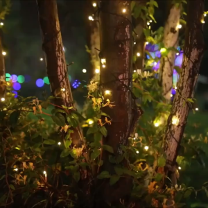 12M 100LED Outdoor Christmas Lights Waterproof Party Garland with Transparent Wire & End Connector for Garden Wedding Holiday Decor