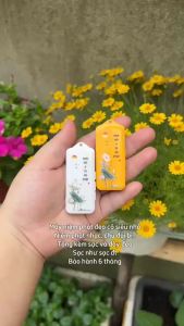 Máy Niệm Phật Máy Nghe Pháp Máy Tụng Kinh Sẵn 62 Bài Có Khe Gắn Thẻ - Mini Nhí