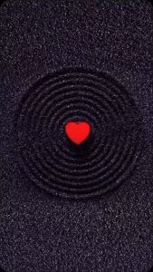 🎇 New2023 🎇 เสื้อยืด คอกลม แขนยาว ลายทาง 3 สี