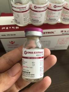 Gona Estrol (8ml) kích dục tố cho vật nuôi