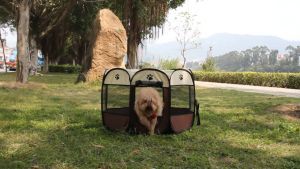 Lowest Price🔥Portable Folding Cat Tent Rumah Kucing Outdoor Travel Pet Dog Tent Cat/Dog House Puppy Fence Cat Cage