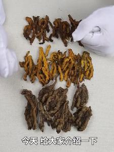 💗🙋‍♀️💗正宗四川鸡爪黄莲一等品四川直发黄连中材黄连片打粉泡水