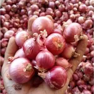 Promo/COD 1Kg Bawang Merah UMKM Lokal Bumbu Rempah