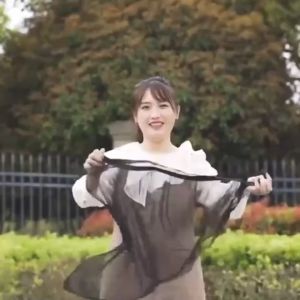 2-Pack Easy-Fit Auto Window Mesh Sunshade with Anti-Mosquito Net Ventilation for Vehicles P2434