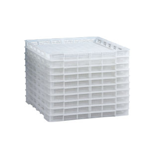 JIADONGLI | Freezing Drying & Drying Food & Seafood Tray