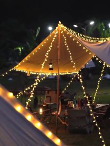 ไฟเชอรี่หรือไฟประดับที่คุณคาดหวัง: ไฟติดห้องนอน, ไฟกลมLED, ไฟประดับห้อง, ไฟกลางแจ้งกันน้ำ, ไฟตกแต่งห้อง