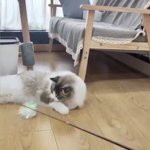 Ready Stock🇲🇾🐱Selected Quality Cat Teaser Cat Toy Cat Stick Mainan Kucing Cat Rod Cat Chasers 钓鱼逗猫棒