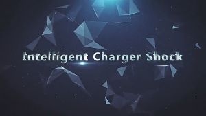 Charger Aki 12V6A Mobil & Motor dengan LCD Indikator Smart Intelligent Chip