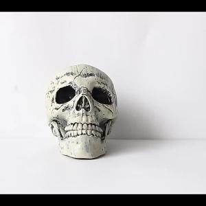 Đầu Lâu Xương Người Halloween Chân Thực Với Bàn Tay Và Cánh Tay Người Dùng Trang Trí Tiệc Tùng Nhà Cửa Vườn Bãi Cỏ Cọc Xương Nhựa