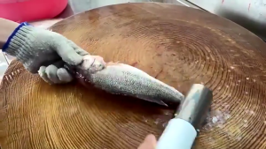 GetGadget⚙ Portable Electric Fish Scale Remover with Stainless Steel Blades and ABS Shell with 3600mAh Battery Tool for Scraping Fish Scale