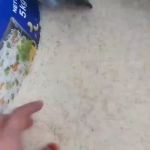 Beras Basmati Doonmalai Kemasan Original 5kg Basmati Sella Rice - LAPAX BERAS