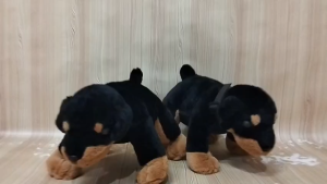 Boneka Anjing Rottweiler Hitam Standing Dog Rottweiler Anjing Bruno