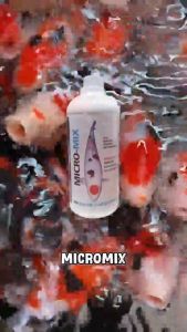 MICROMIX 250 mL | BAKTERI STARTER utk Koi Penjernih Air & Pengurai Amonia Pada Akuarium Aquaculture