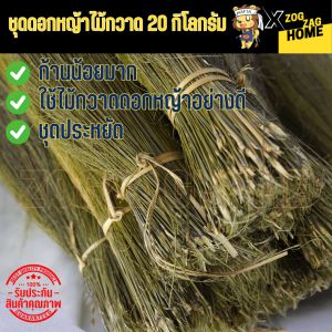 ชุดดอกหญ้า 20 กิโลกรัม ดอกก๋ง หญ้าแขม ดอกหญ้าไม้กวาด ตอน้อย เกรด AAA ร่วมกับเชือกถักไม้กวาด ชุดประหยัด พร้อมส่ง ราคาโรงงาน Zogzaghome