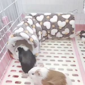 [Animal KOKO] พร้อมส่ง 🌀อู้อุโมงค์ผ้าสัตว์เลี้ยง🌀 นอนนุ่มและอบอู่น้ำ พร้อมส่ง  ชูการ์ไกลเดอร์ หนูตะเภา นกแก้ว มิงค์ กระรอก