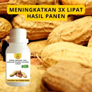 Pupuk Kacang Tanah Cepat Berbuah / Pupuk Pelebat Kacang Tanah / Pupuk Booster Kacang Tanah Cair
