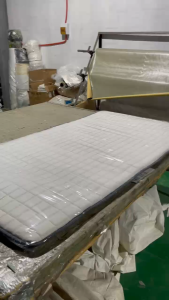 Yali Home Mattress Topper Thick Washable and Non-slip High Quality Bed mat 2Years Warranty BackCare  mat