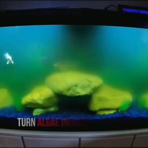 13W Aquarium UV Light Fish Tank 220V UV Germicidal Lamp Pond Water Purification For Aquarium Waterproof With Cover