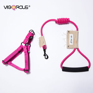 No-Pull Dog Leash Vest Style Small Dog Breeds Pomeranian Bichon Nylon Material Comfortable Handle Walking Dog Leash