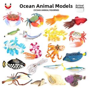 Educational Cognition Marine Animal Model Multiple Species