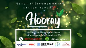 อีสไบออน (ของแท้)(อะมิโน เปปไทด์พลัส) ลดความเครียด ทนแล้ง ทนร้อน ทนหนาว ฟื้นฟูต้น เพิ่มผลผลิต