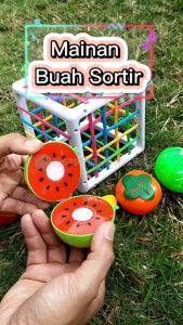 Mainan Edukasi Montessori Bayi Baby Belajar Menyortir Bentuk Kotak Buah dan Sayur Sensorik Sensory Toy Shape Sorting Puzzle Pembelajar Edukatif Bayi Balita 2 3 4 5 6 7 Bulan Hadiah Kado Ulang Tahun Cowok Cewek Laki Laki Perempuan