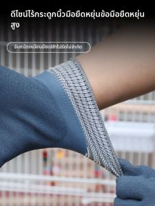 Terrain Kun | Anti-Bite Waterproof Bird Training Glove