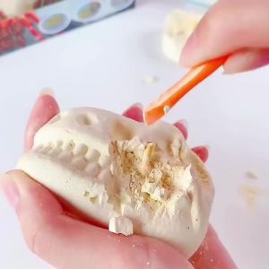 1Pcs Dinosaur Fossil Excavation Kit STEM Educational DIY Skeleton Digging Toy Archaeological Assembly Model for Science Learning