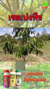 ต้านทานโรคและแมลง สารธรรมชาติกระตุ้นการแบ่งเซลล์ ต้นพืชแข็งแรง กระตุ้นการแตกราก พืชเขียวทน เขียวนาน ชุดเบ่งพืช 4 ชุด  เร่งเปิดตาใบ อัตราการงอกสูง